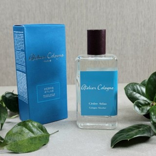 아* 코롱 세드르 아틀라 100ml 남여공용 d/js