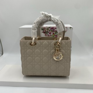 디* 레이디백 미듐